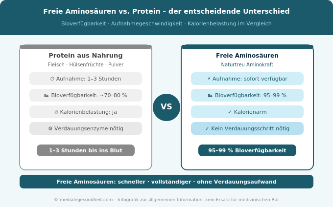 Freie Aminosäuren vs Protein Bioverfügbarkeit Aufnahme Vergleich Infografik