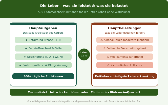 Leber Aufgaben Entgiftung Fettstoffwechsel Speicherung Belastung Infografik