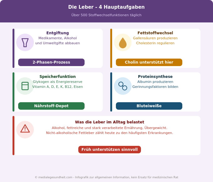 Leber Aufgaben Entgiftung Fettstoffwechsel Speicherung Belastung Infografik