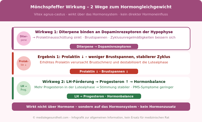 Mönchspfeffer Wirkung Prolaktin Progesteron PMS Hormonkreislauf Infografik