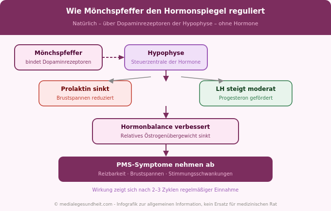 Mönchspfeffer Wirkung Prolaktin Progesteron PMS Hormonkreislauf Infografik