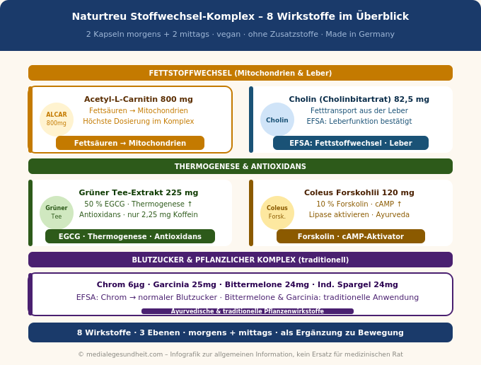 Naturtreu Stoffwechsel Wirkstoffe L-Carnitin Cholin Chrom Grüner Tee Infografik