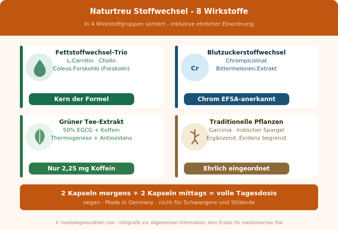 Naturtreu Stoffwechsel Wirkstoffe L-Carnitin Cholin Chrom Grüner Tee Infografik