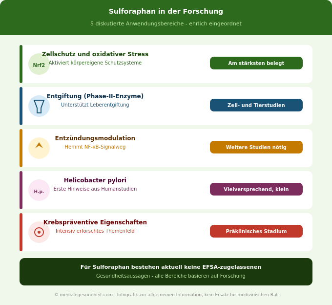 Sulforaphan Wirkung Forschung Zellschutz Entgiftung Entzündung Evidenz Infografik