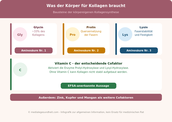 Kollagen Synthese Bausteine Vitamin C Aminosäuren Glycin Prolin Lysin Infografik