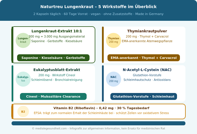 Naturtreu Lungenkraut Wirkstoffe Thymian Eukalyptus NAC Vitamin B2 Infografik