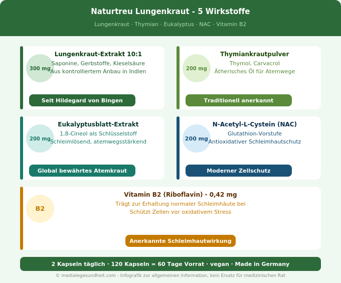 Naturtreu Lungenkraut Wirkstoffe Thymian Eukalyptus NAC Vitamin B2 Infografik