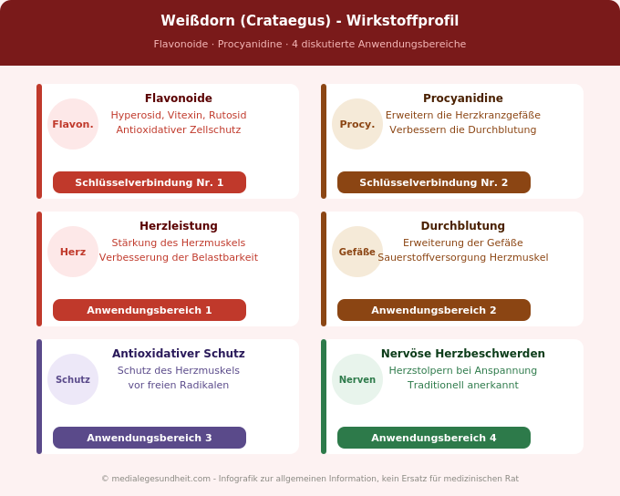 Weißdorn Wirkung Herz Flavonoide Procyanidine Forschung Infografik