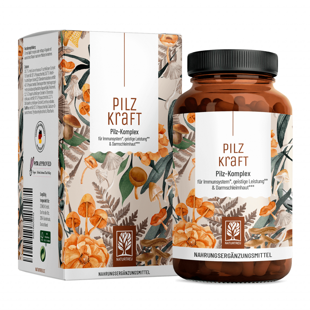 Naturtreu Pilzkraft Vitalpilze Hericium Reishi Chaga Shiitake 500 mg Polysaccharide vegan Made in Germany
