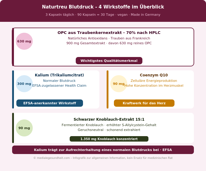 Naturtreu Blutdruck OPC Kalium CoQ10 Schwarzer Knoblauch Inhaltsstoffe Übersicht Infografik
