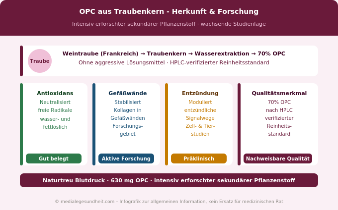 OPC Traubenkern Wirkung Forschung Gefäßgesundheit Antioxidans Infografik