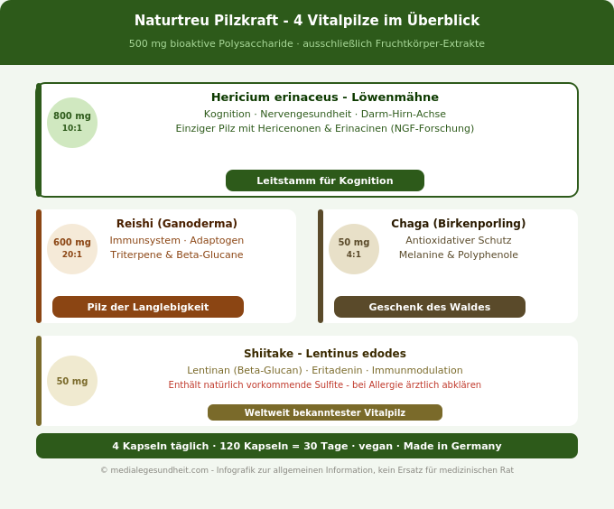 Vitalpilze Hericium Reishi Chaga Shiitake Pilzkraft Naturtreu Übersicht Infografik