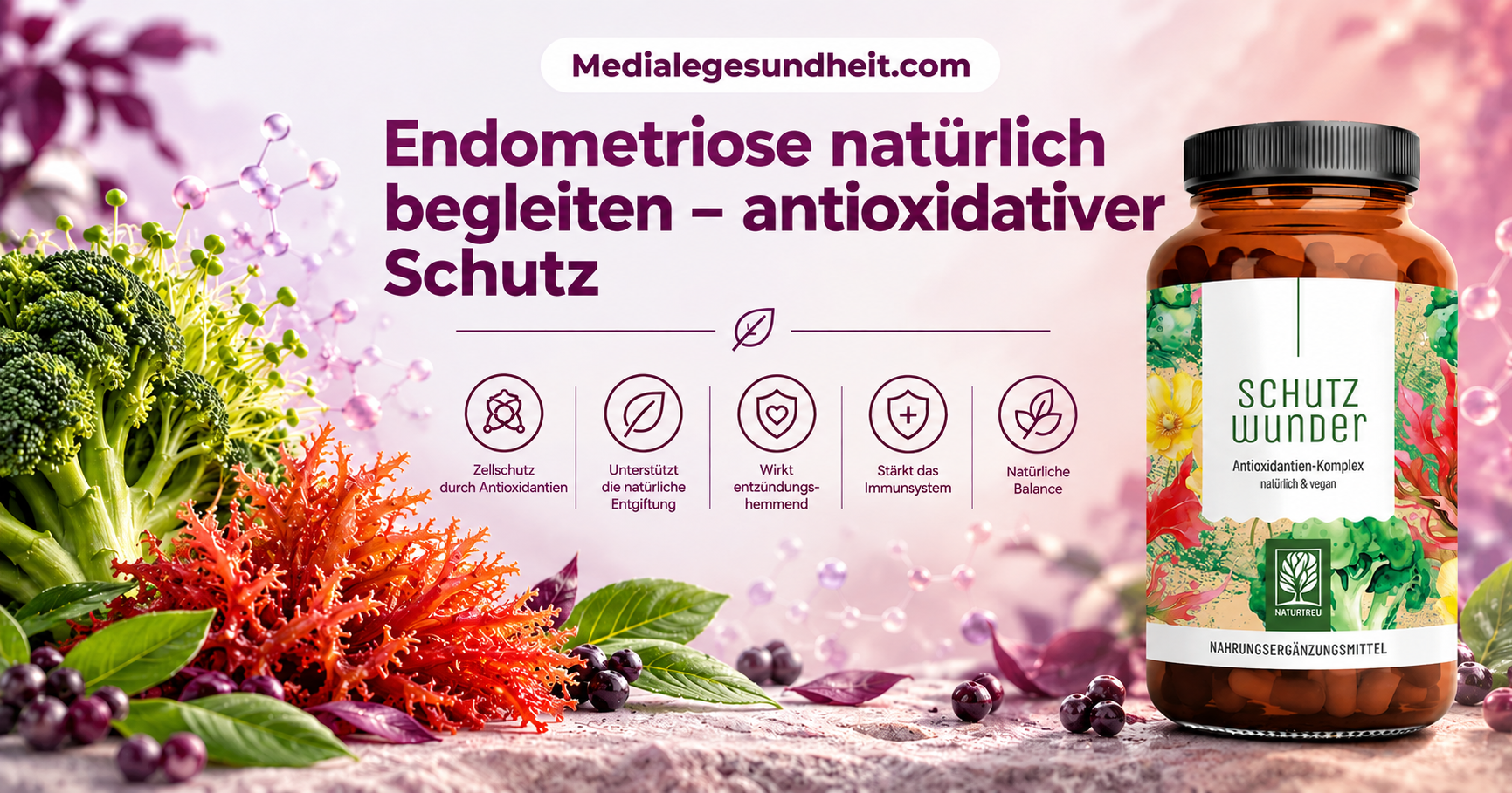 Endometriose natürlich begleiten – was antioxidativer Schutz leisten kann