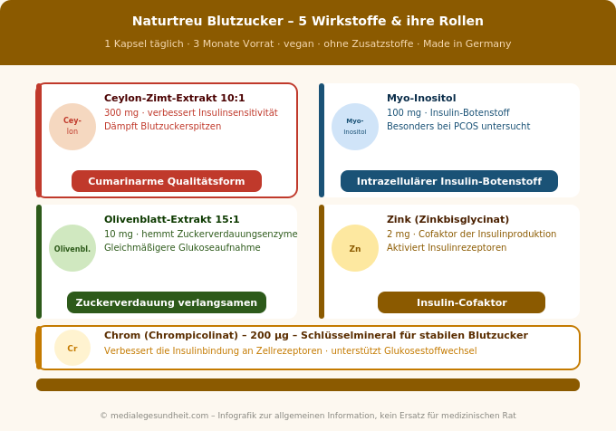 Naturtreu Blutzucker Wirkstoffe Ceylon-Zimt Myo-Inositol Olivenblatt Zink Chrom Infografik