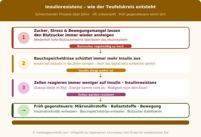Insulinresistenz Entstehung Teufelskreis Blutzucker Insulin Infografik
