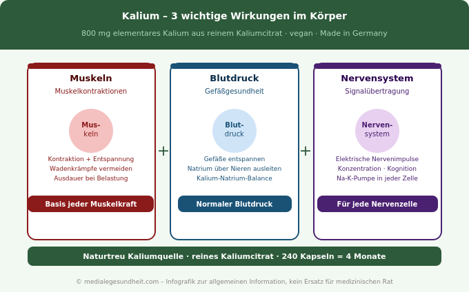 Kalium Wirkung Muskeln Blutdruck Nervensystem Infografik