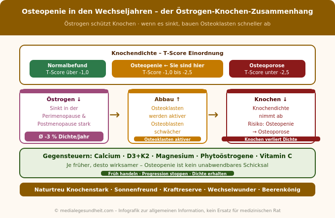 Osteopenie Wechseljahre Östrogen Knochendichte T-Score Erklärung Infografik