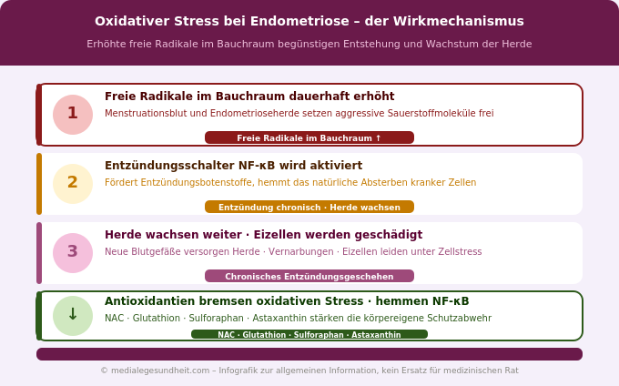 Endometriose oxidativer Stress NF-κB Wirkmechanismus antioxidativer Schutz Infografik