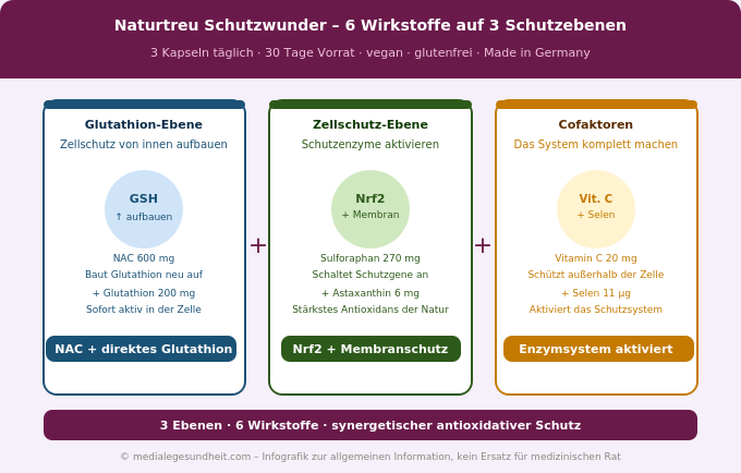 Naturtreu Schutzwunder Wirkstoffe NAC Glutathion Sulforaphan Astaxanthin Infografik